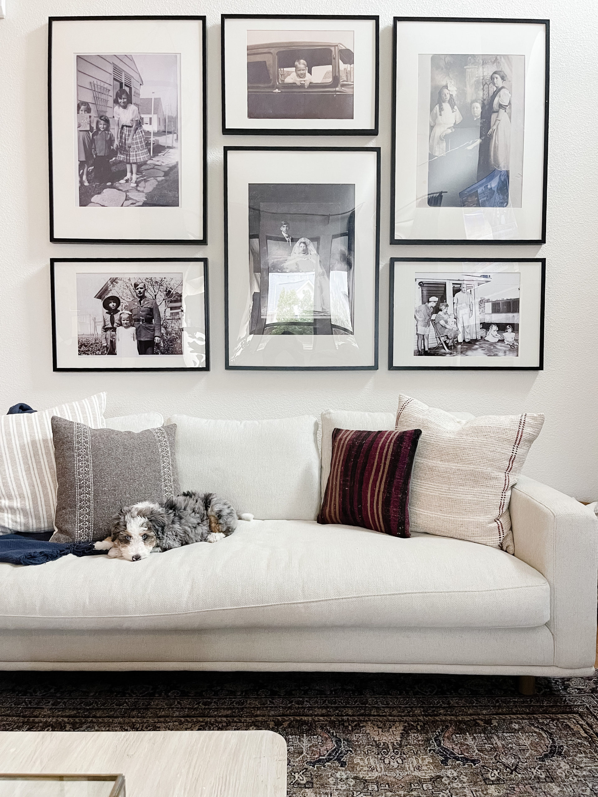 Pet friendly couch | Pet friendly materials | Stain resistant | Home decor | Interior design tips |